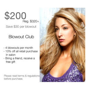Monthly Blowout Club! 4 Blowouts! Save $30 per Blowout!